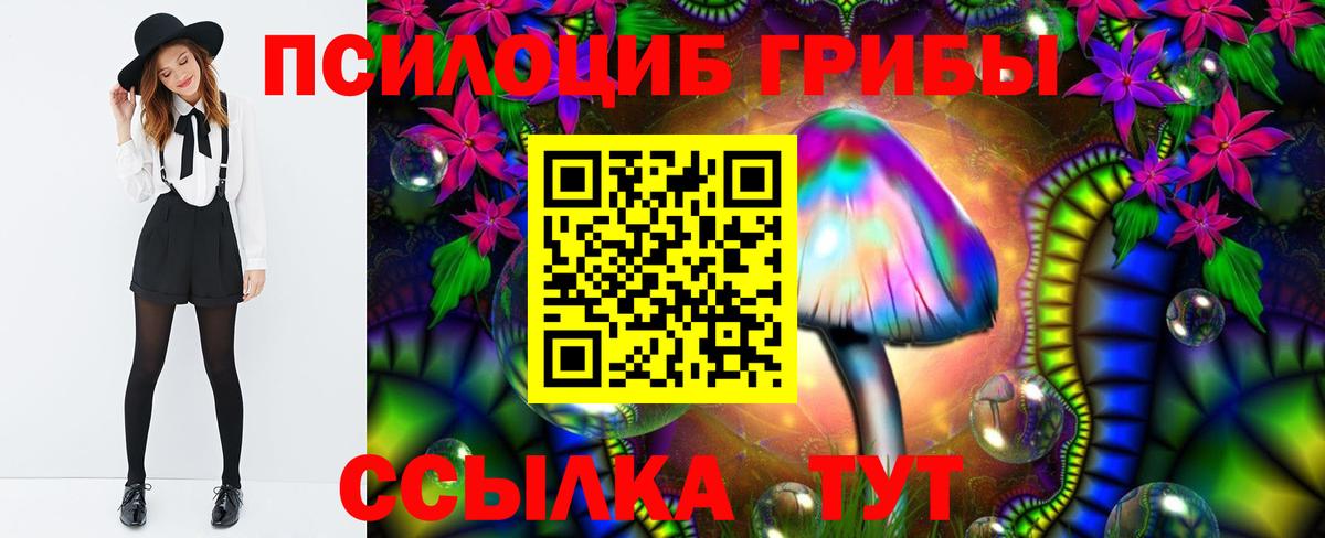 Галлюциногенные грибы Magic Shrooms Сальск