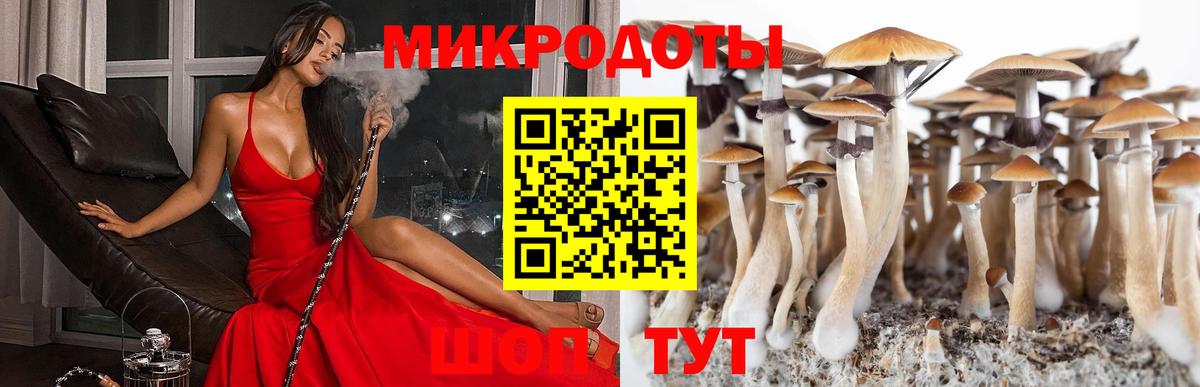 Псилоцибиновые грибы мицелий  Вход с VPN  Сальск 